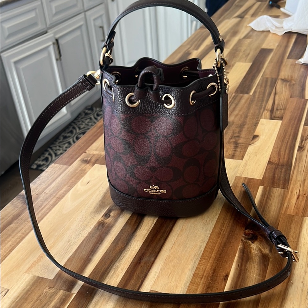 Coach Brown Bucket Bag